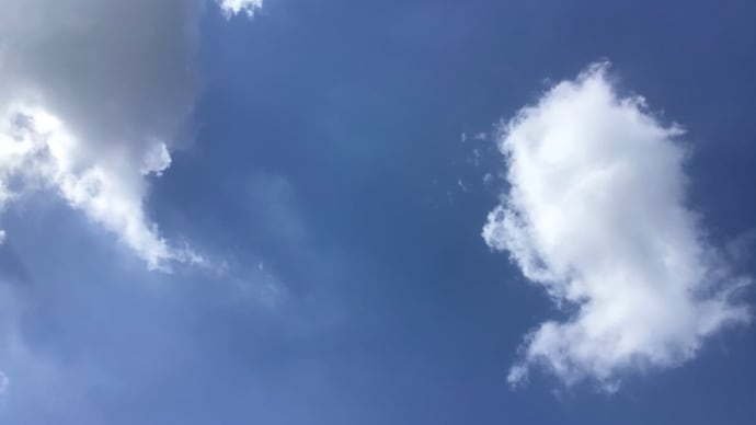 より所
