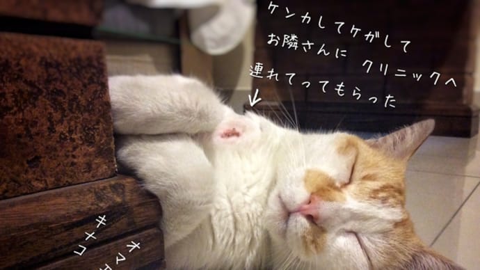 出入りのパソコン業者が低レベルで困った
