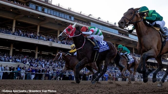 アメリカ初勝利 偉業を達成 ラヴズオンリーユー号&マルシュロヌール号