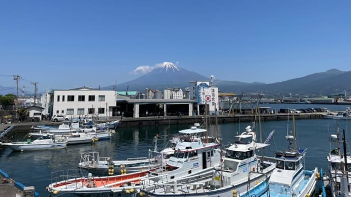 田子の浦港でイベント