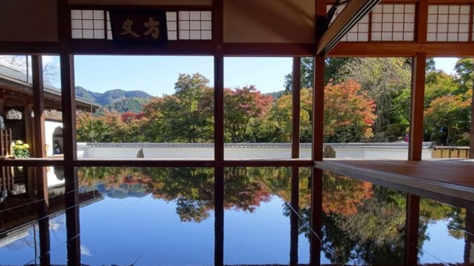 紅葉のわたらせ渓谷トロッコ列車 宝徳寺秋の床もみじ特別公開