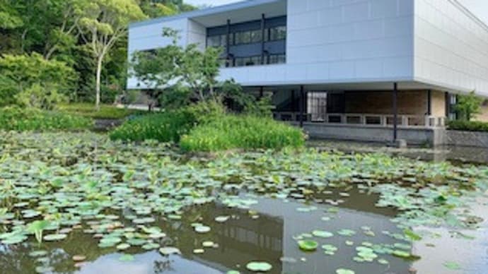 gooblogの新しい編集画面