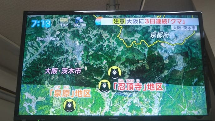 ちまたで話題の・・・