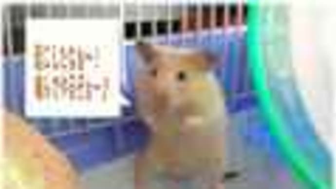 悪口書いちゃうゾ?!