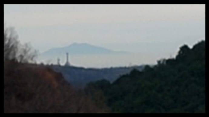 龍崖山(飯能市)だ▽^ェ^▽ ワン!