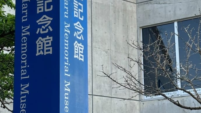 沖縄、街歩きの旅🌻(大人の遠足、平和編)