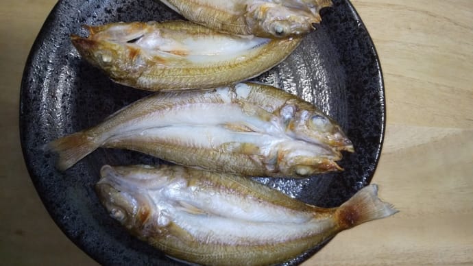 干物作りと長浦投げキス