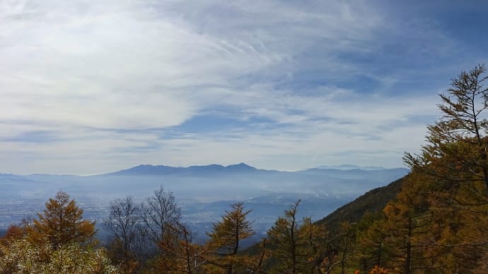 カラマツ黄葉の 高峰高原