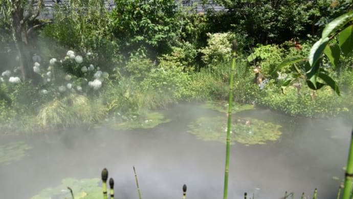 西武デパート屋上モネの池 ミストの霧がたなびく景色 12