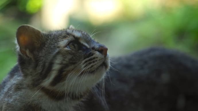 死にたいと思ったこと、ありますか？