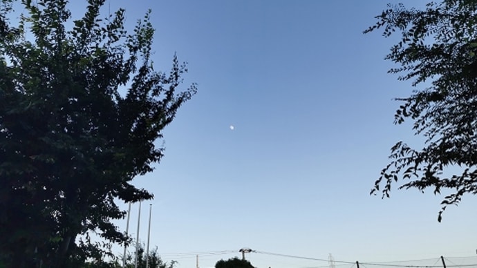 目の錯覚 / 投票日の定番ごはん