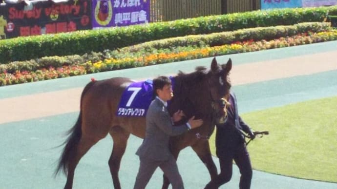 👑🐴マイルチャンピオンシップ 2022