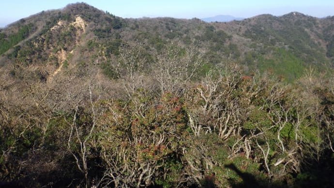 2022年12月10日(土) 鈴鹿山系南端部、那須ヶ原山から高畑山を絶景を求め縦走!!