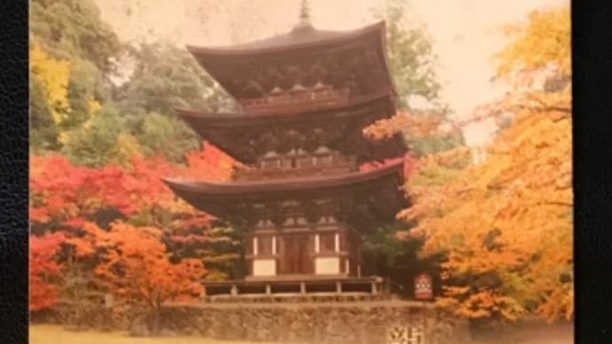 11月24日(水)湖東三山で紅葉狩り🍁