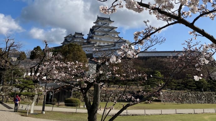 桜100選 5/100 姫路城・6/100 大阪城
