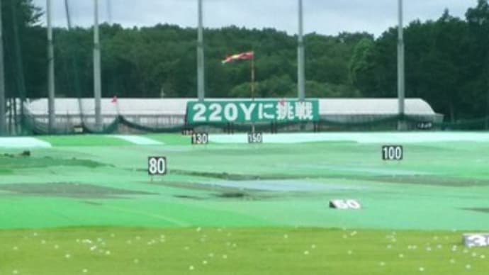 昨日とは打って変わって朝から全開