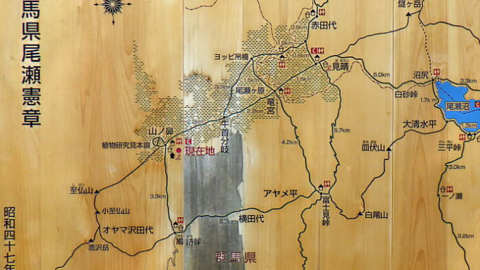 鳩待峠から尾瀬ヶ原周回しました 20240609