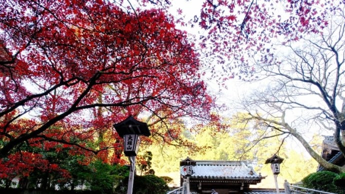 20231130 写経を納めに大雄山最乗寺さまに行ってきました