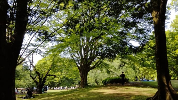 光が丘公園(1)