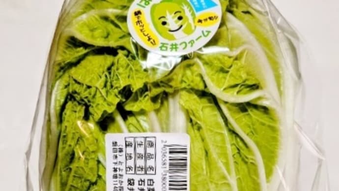 やっと地元の白菜を買いました!