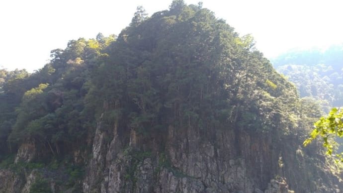 2024-07-27 Photo