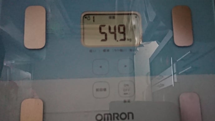 ダイエット255日目