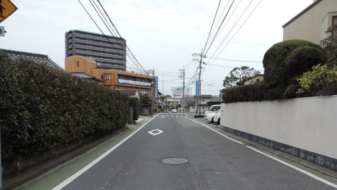 新開堤防の名残りの道路
