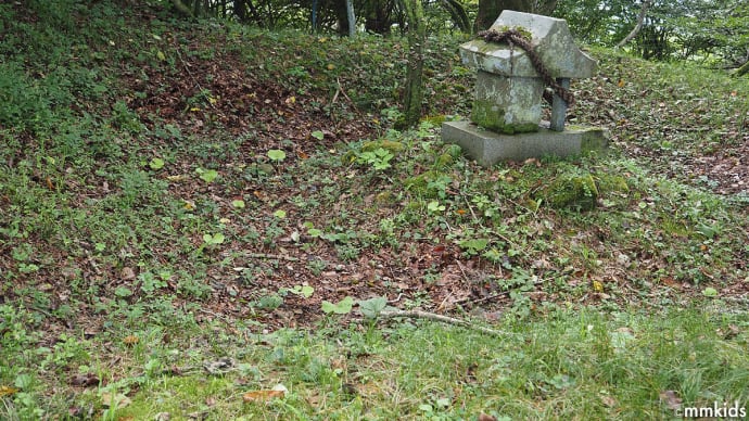 ツル性のトリカブトを探して冠着山と聖山へ。猛暑と人為の無惨を目の当たりに。サラシナショウマ、アブラチャン。メスグロヒョウモンのメス(妻女山里山通信)