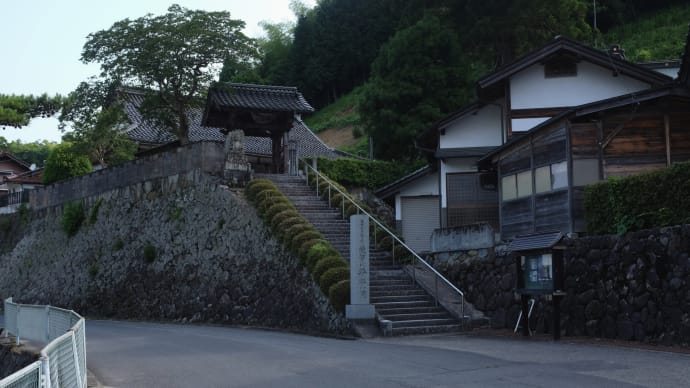 20210624 日本初宮須賀神社 03 Fujifilm-Digtal Camera X100T