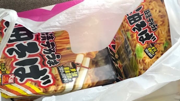 今日の昼ご飯