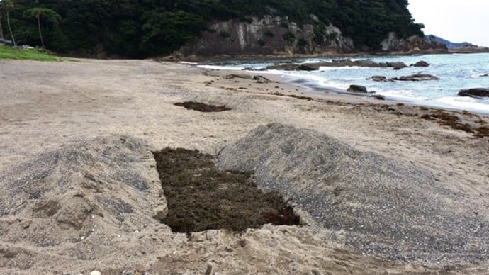 いいんだろうか?これで~桜浜海水浴場