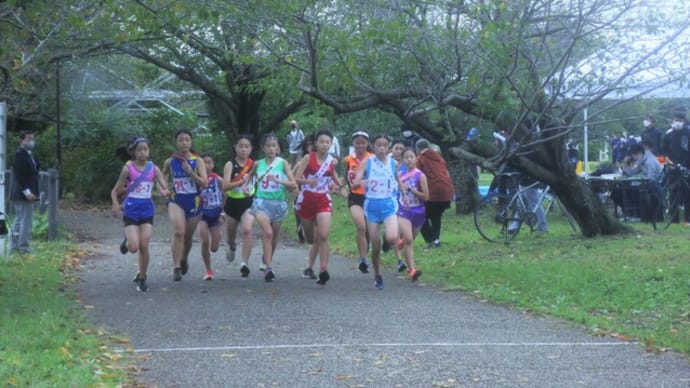 第67回 藤沢市中学校駅伝競走大会