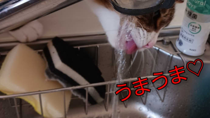 お水の飲み方