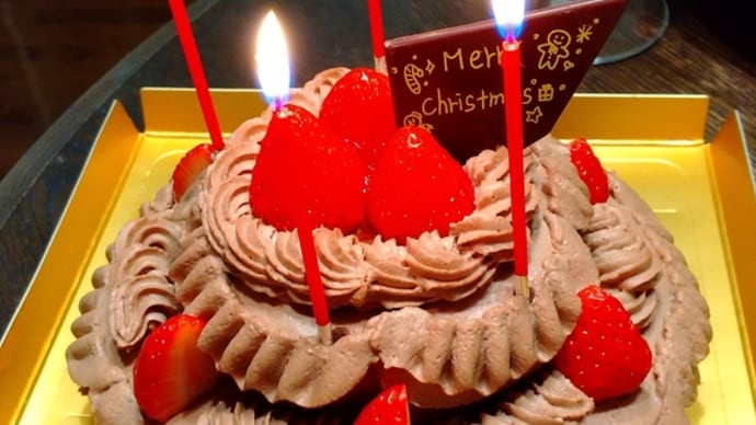 リムパーザ169日目 クリスマスのお祝い🎄