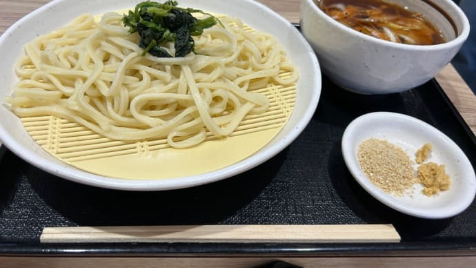 大渋滞を抜けやっと上里SAでお昼だ(ﾟoﾟ;;