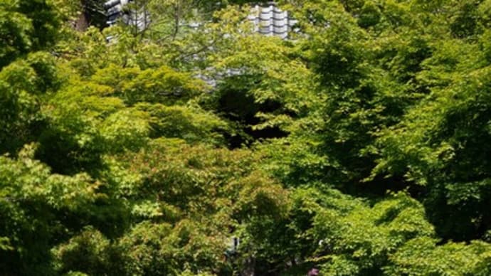 古都点景【円覚寺】松嶺院のお遍路道でタイムトリップ！