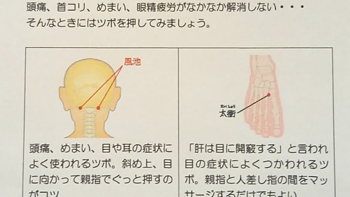 肝血虚の症状と目のツボ・春の草花を眺めて