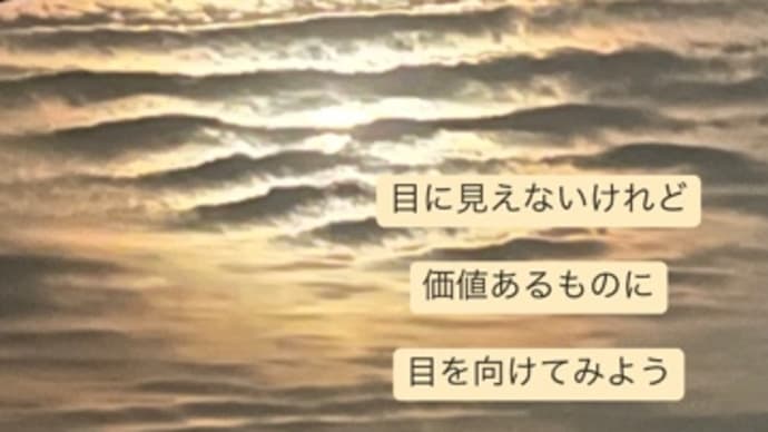 〜マヤ暦 K21 赤い龍・白い魔法使い・音8〜 「亜熱帯サウナlでマヤ暦を語る