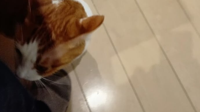 ノーサイド
