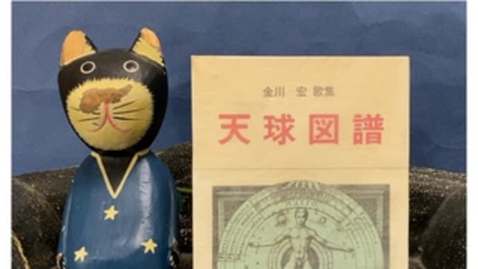 天球図譜~金川宏