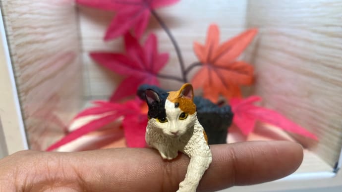 ガチャポンで猫ゲット♡