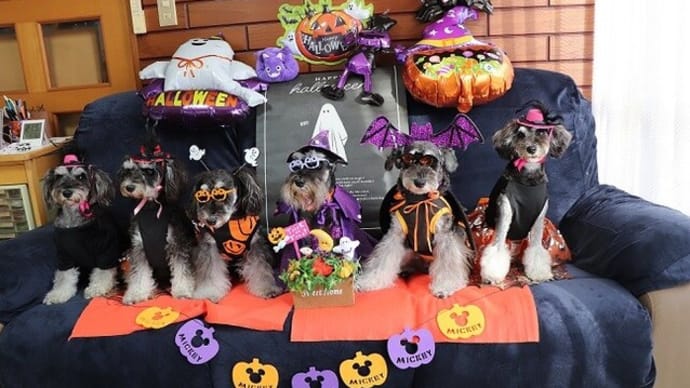 ファミリーでハロウィン
