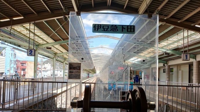 伊豆下田🐬