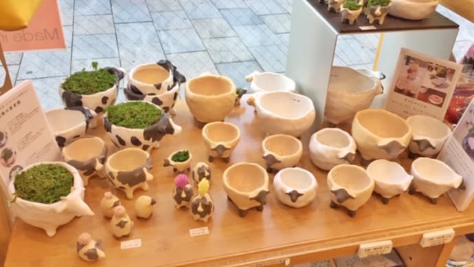 やまひつじ の器と植木鉢 Refrappe