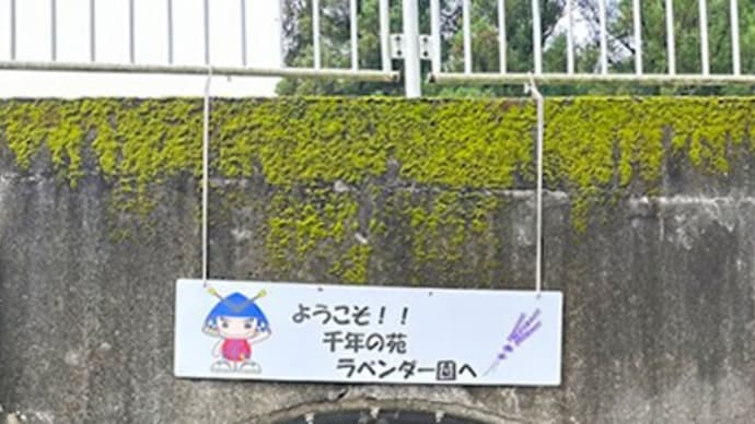 乙女気分で。