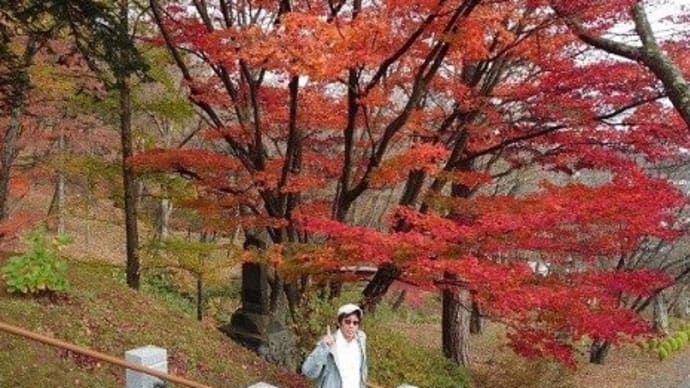 💴金運パワースポット新得山神社🍁&帯広川緑地散歩🚶🏻・・・広島カープの日本一祈願⛩
