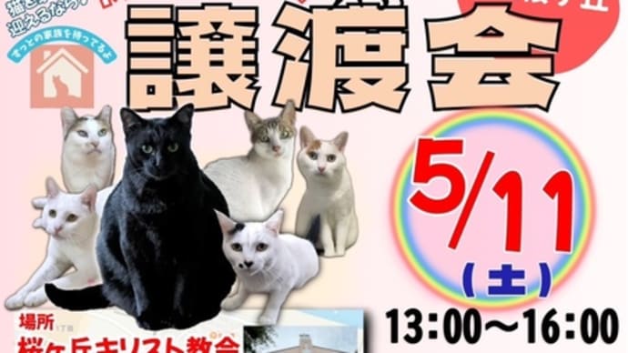 保護猫譲渡会4/20(土)in多摩市聖蹟桜ヶ丘