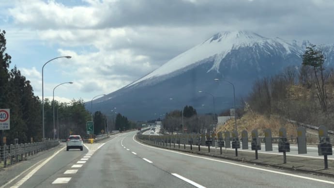 桜松徒然