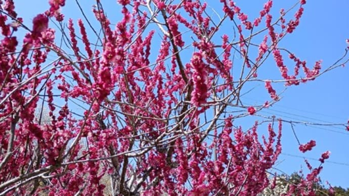 2025-04-14 Photo