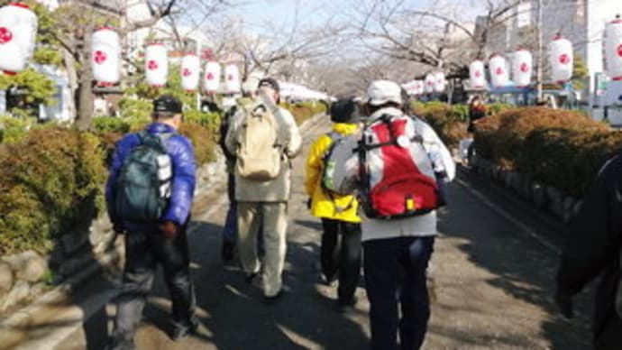 ４５年ぶりの鎌倉散歩